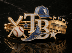 TPBR Elegant Gold Hair Clip For Women BMD