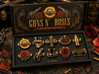 GNR Elegant Gold Mini Barrettes for Women TMH