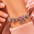 DLPT Sliver Charm Bracelet Set NHVH