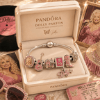 DLPT Sliver Charm Bracelet Set NHVH