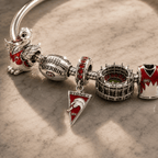 SNSW Silver Charm Bracelet Set PNPA