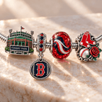 BRX Silver Charm Bracelet Set NHVH