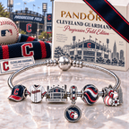CLG Silver Charm Bracelet Set NHVH