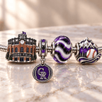 CLRDR Silver Charm Bracelet Set NHVH
