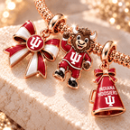 IDH Rose Gold Charm Bracelet Set TTTT