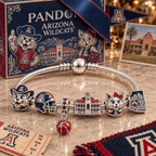 AWC Silver Charm Bracelet Set PTKL