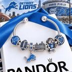 DTL Silver Charm Bracelet Set VTH