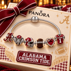 ACT Silver Charm Set NHVH