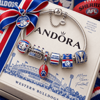 WTBD Silver Charm Bracelet Set PTT