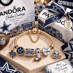DLCB Gold Charm Bracelet Set TTN