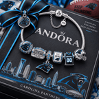 CRPT Silver Charm Bracelet Set PTT