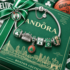 BNCS Silver Charm Bracelet Set PTT