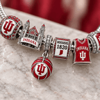 IDH Silver Charm Bracelet Set PTT