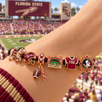 FSSB Braided Leather Charm Bracelet Set NHVH